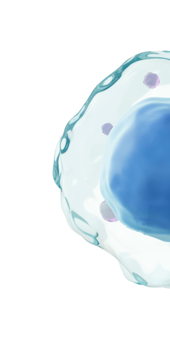 Graphic of half an amoeba