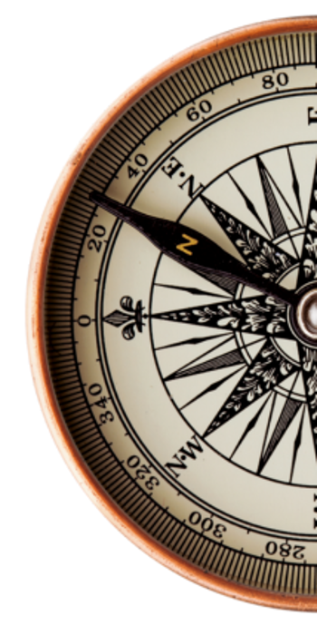 Collective Flourishing Icon