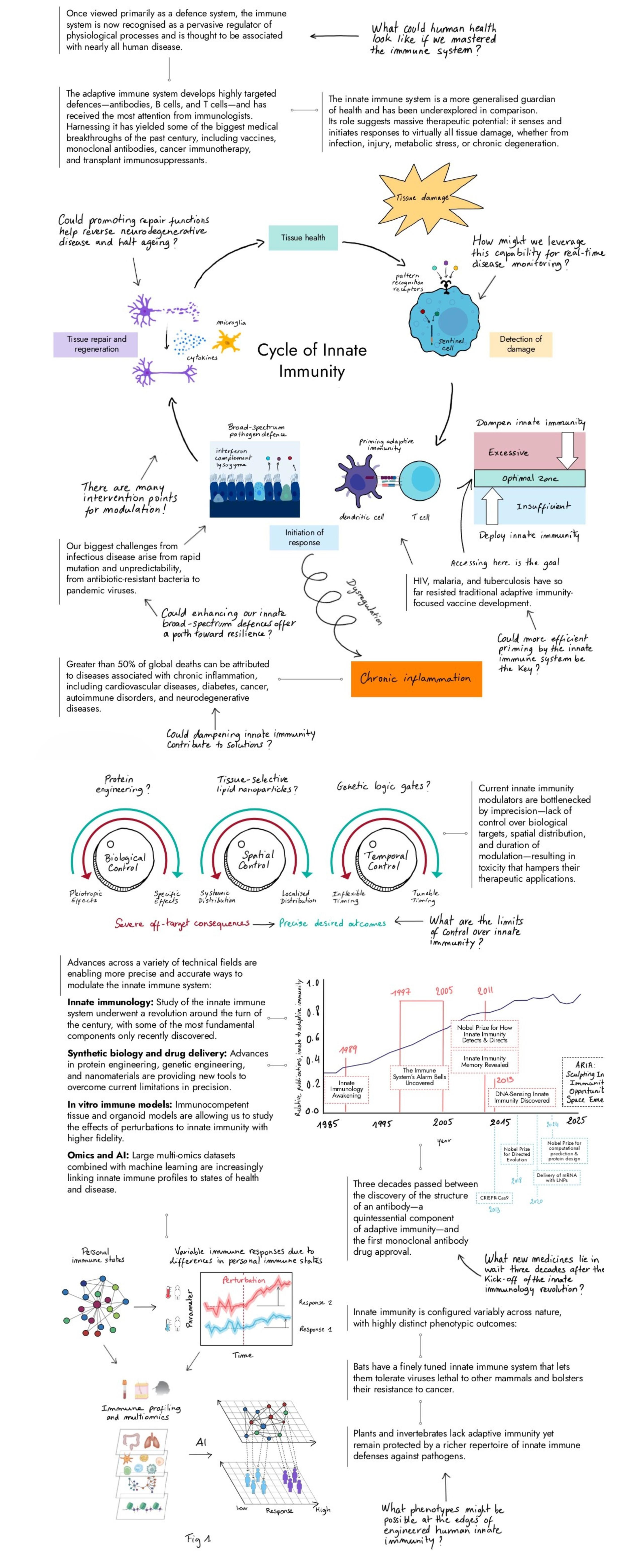 Image of ARIA's observations in the Sculpting Innate Immunity opportunity space. Tab or scroll down to view the accessible version.
