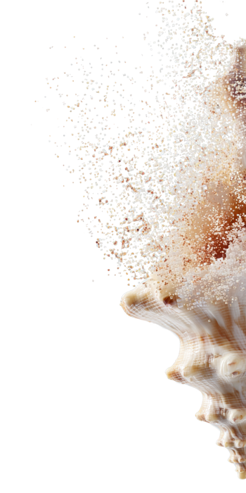 ARIA Manufacturingabundance No Line