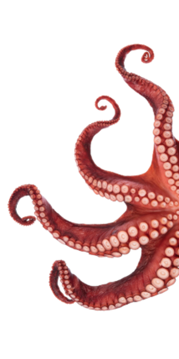 Extending Our Perception