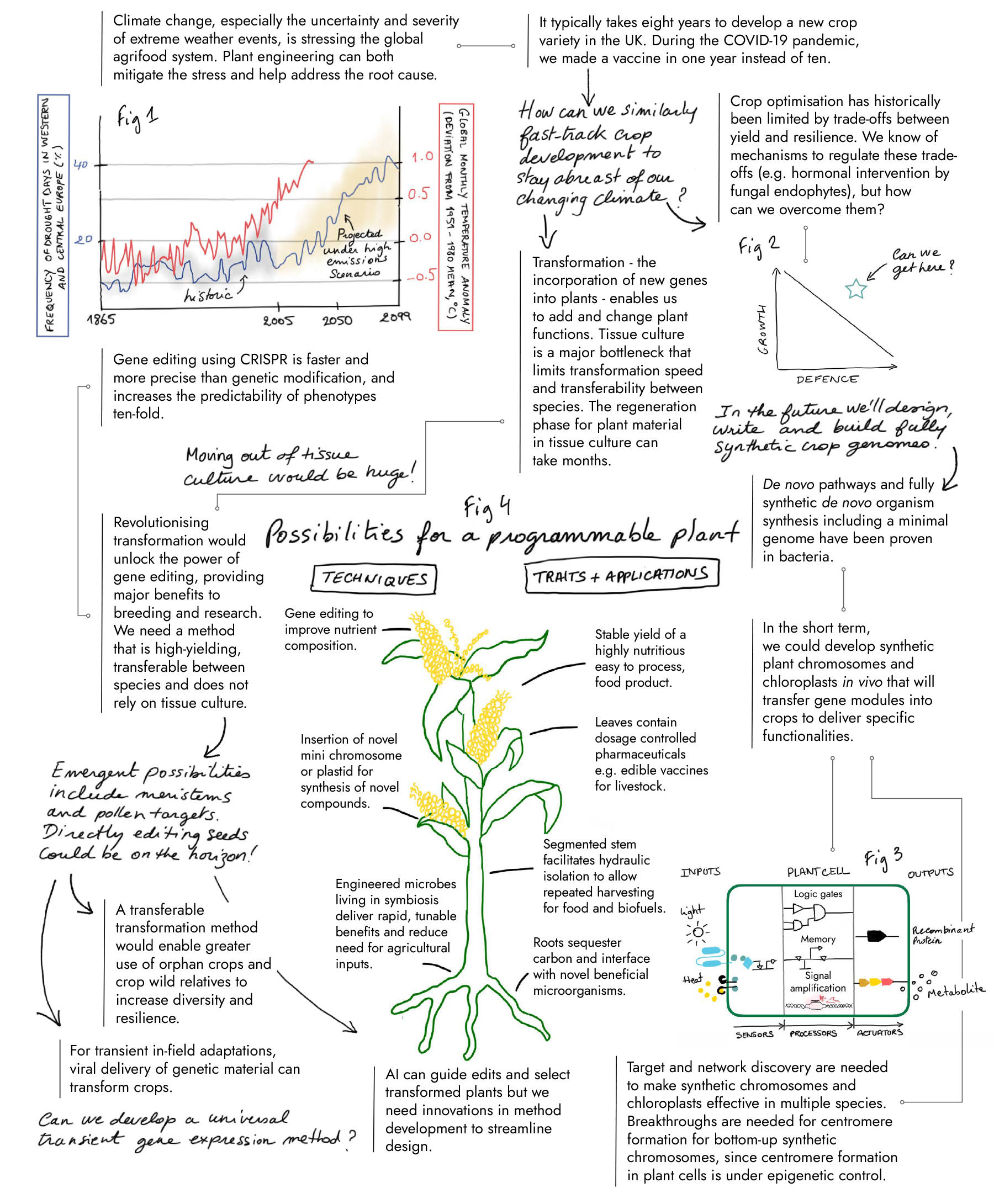 Image of ARIA's observations in the Programme Plants opportunity space. Tab or scroll down to view the accessible version.