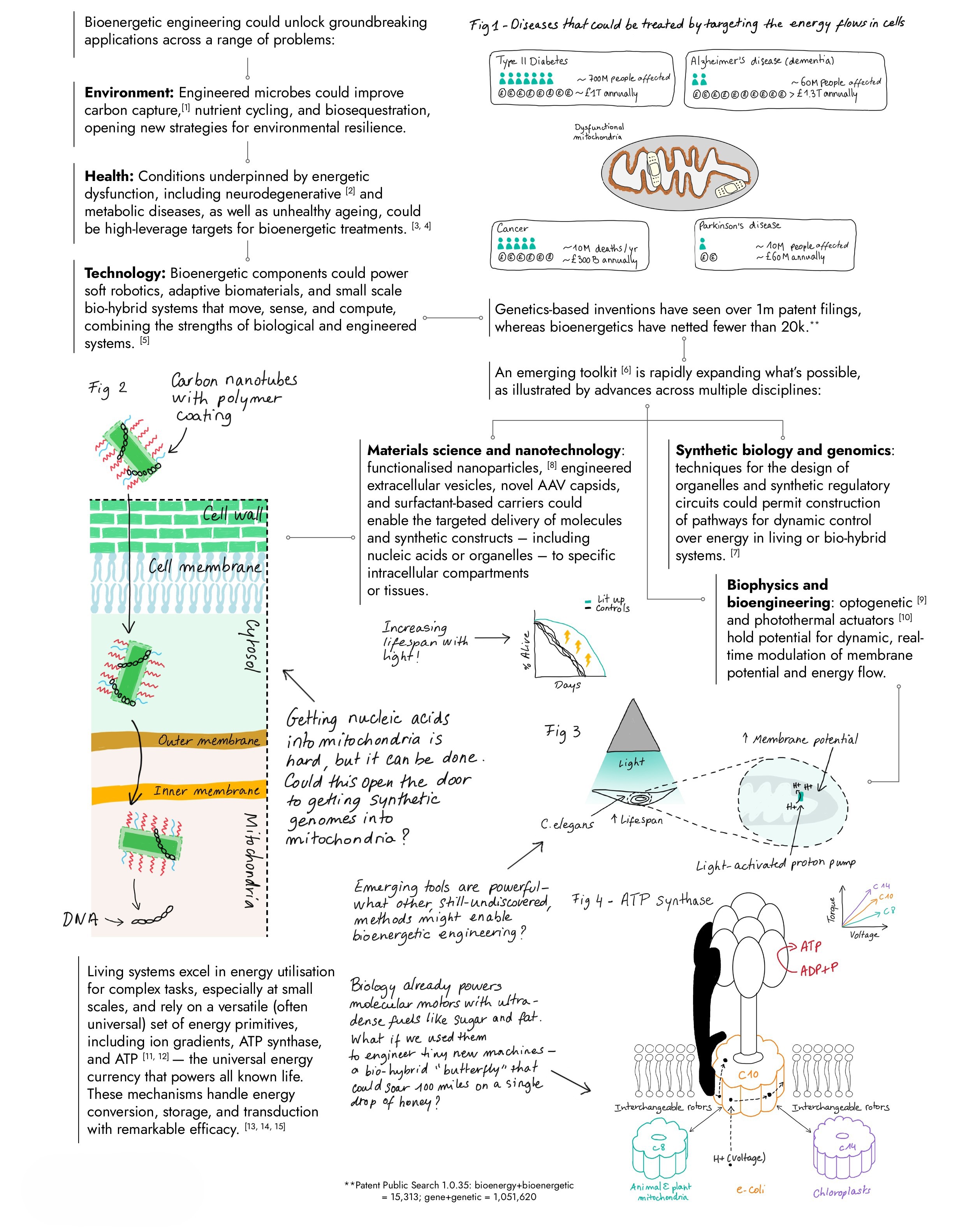 Image of ARIA's observations in the Bioenergetic Engineering opportunity space. Tab or scroll down to view the accessible version.